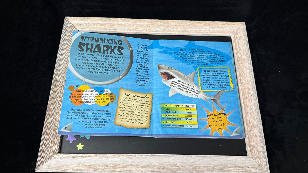 SHARK ATTACK Foam Model &amp; Fact Book