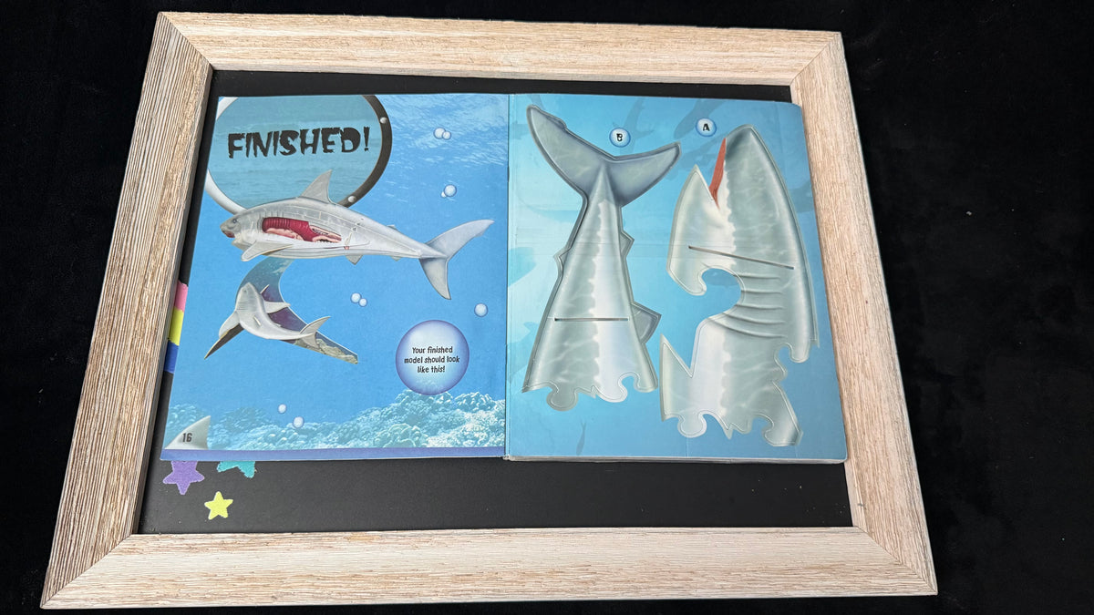 SHARK ATTACK Foam Model &amp; Fact Book