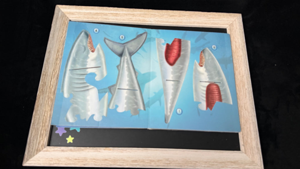 SHARK ATTACK Foam Model &amp; Fact Book