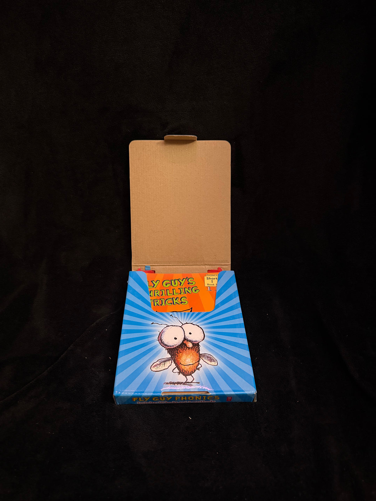 Fly Guy 7-Book Bundle by Tedd Arnold