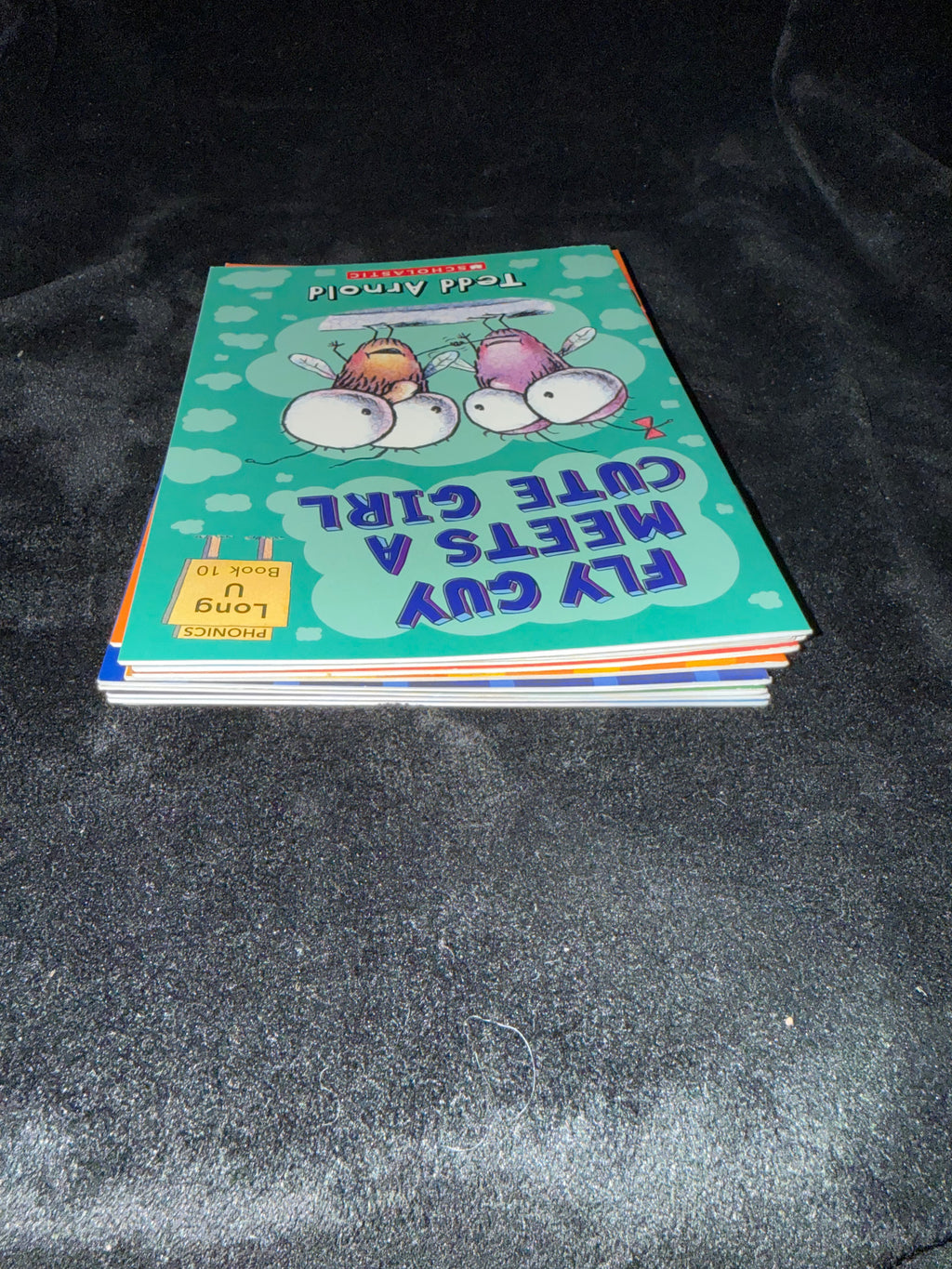 Fly Guy 7-Book Bundle by Tedd Arnold