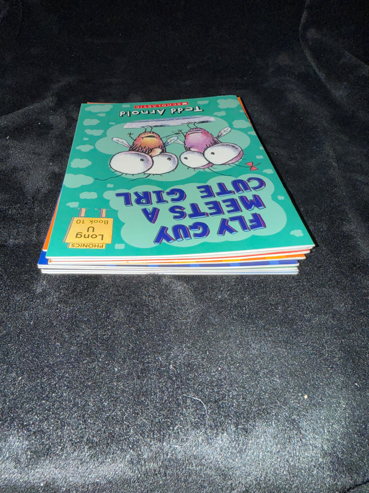 Fly Guy 7-Book Bundle by Tedd Arnold