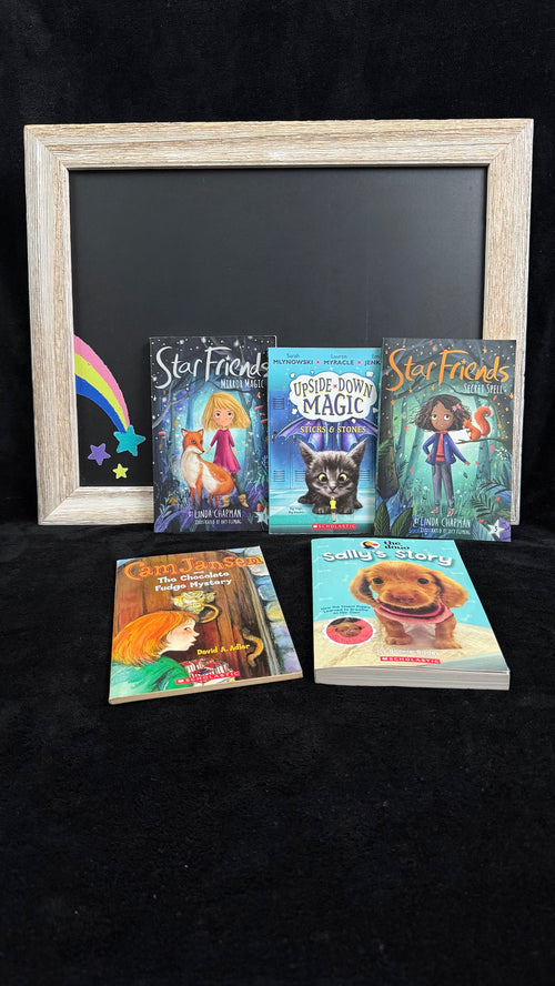 Rainbow Joy Book Shop Blue bundle books close up