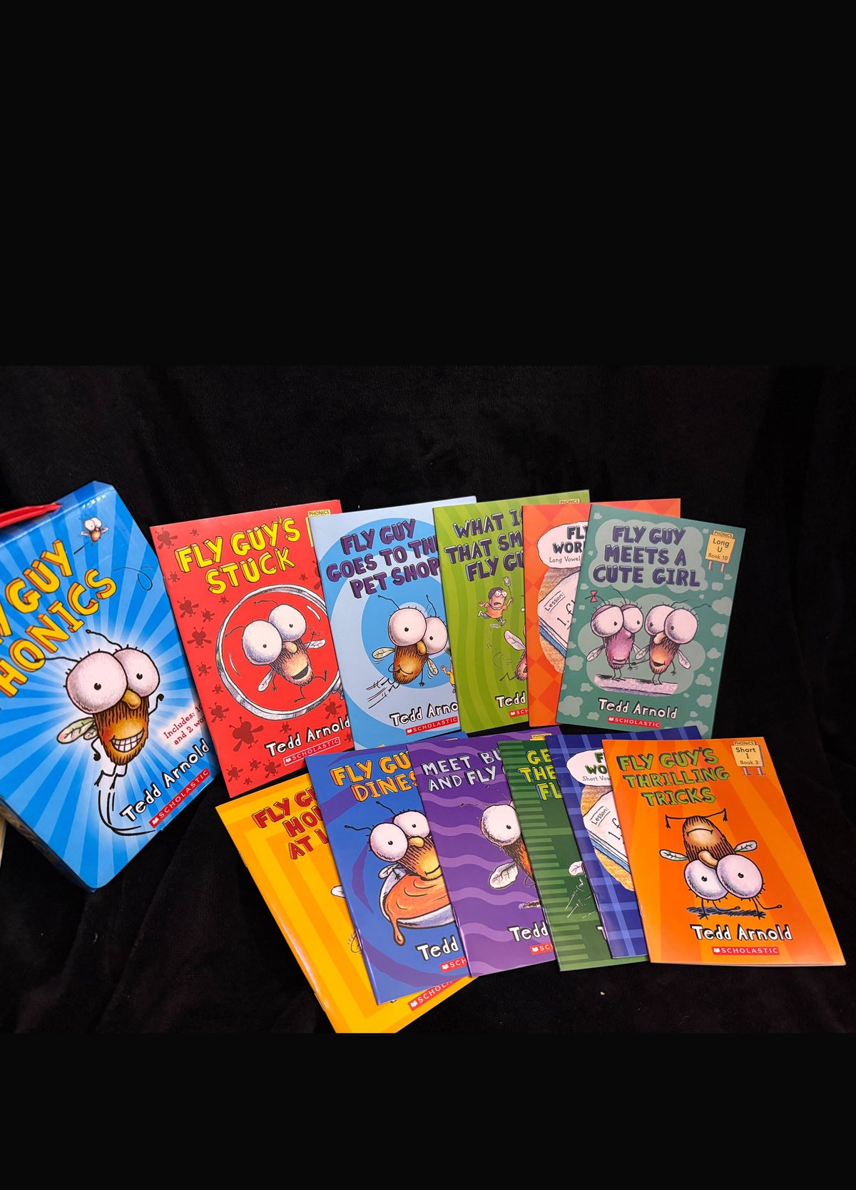 Fly Guy 7-Book Bundle by Tedd Arnold, gently used